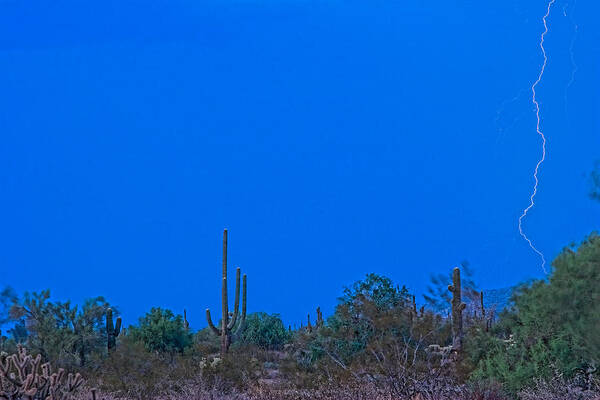 Arizona Art Print featuring the photograph Arizona Desert Landscape by James BO Insogna