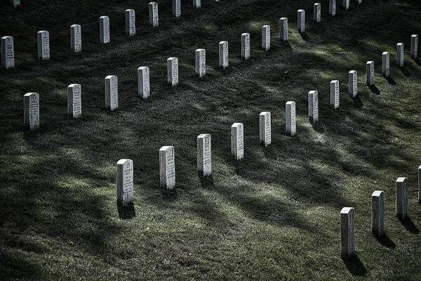 Arlington Cemetery Art Print featuring the photograph Arlington Cemetery Graves #2 by Stuart Litoff