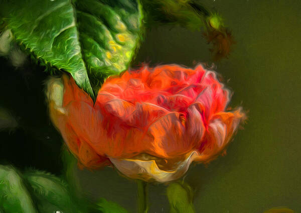 Artistic Art Print featuring the photograph Artistic Rose and leaf by Leif Sohlman