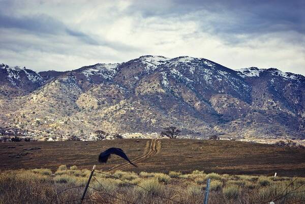 Mountains Art Print featuring the photograph As The Crow Flies by Brad Hodges