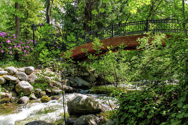 Bridge Art Print featuring the photograph Ashland Creek by James Eddy