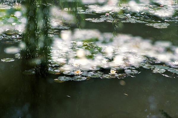 Impressionism Photos Art Print featuring the photograph At Claude Monet's Water Garden 5 by Dubi Roman