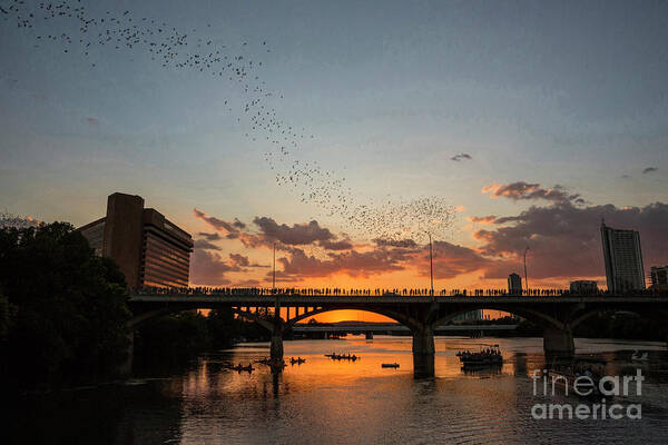 Bats Art Print featuring the photograph Austins 1.5 million Free-tail bats fly out of the Congress Avenue Bat Bridge for nightly feeding by Dan Herron