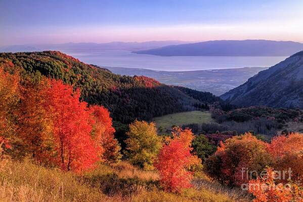 American Fork Canyon Art Print featuring the photograph Autumn Above Utah Lake by Roxie Crouch