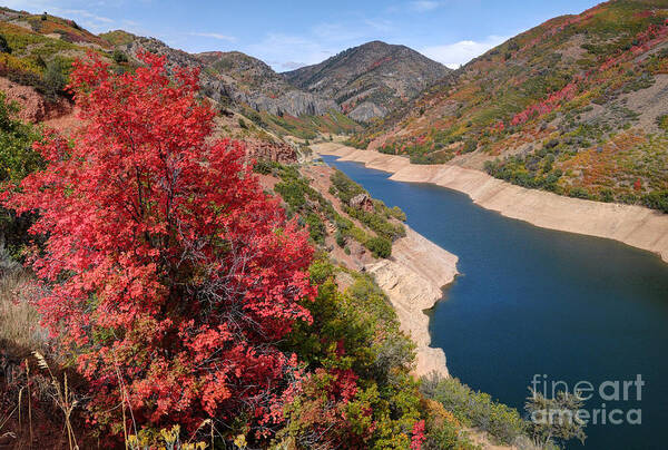 Autumn Art Print featuring the photograph Autumn at Causey Reservoir - Utah by Gary Whitton