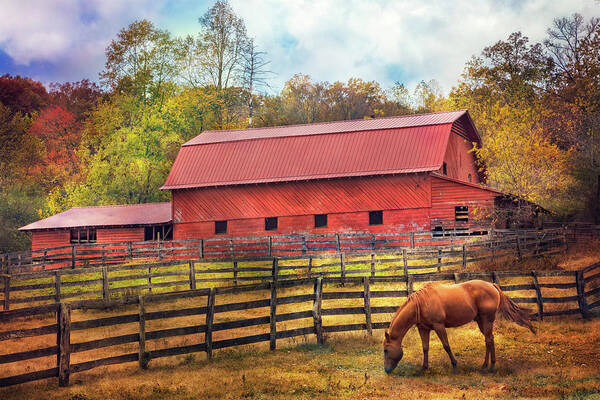 Appalachia Art Print featuring the photograph Autumn Grazing by Debra and Dave Vanderlaan