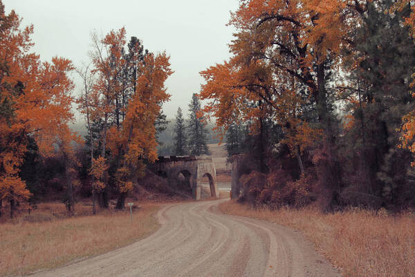 Montana Art Print featuring the photograph Autumn in Montana by Cathy Anderson