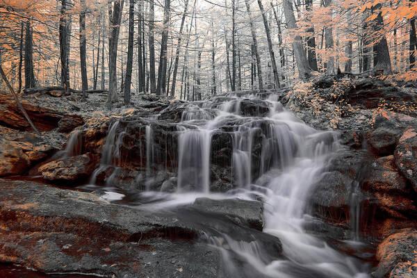 Tucker Brook Falls Milford Nh New Hampshire England U.s.a. Usa Outside Outdoors Full Spectrum Fullspectrum Spring Ir Infrared Infra Red Nature Natural Water Fall Waterfall Longexposure Long Exposure Trees Forest Secluded Favorite Art Print featuring the photograph Autumn in Spring Infrared by Brian Hale