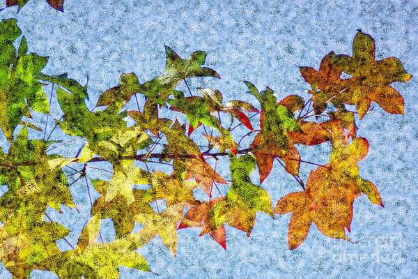 Autumn Art Print featuring the photograph Autumn Leaves 2 by Jean Bernard Roussilhe