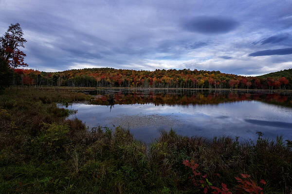 Vermont Route 9 Art Print featuring the photograph Autumn On North Pond Road by Tom Singleton