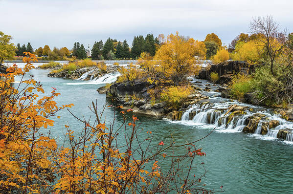 Autumn Art Print featuring the photograph Autumn On The Snake River by Yeates Photography