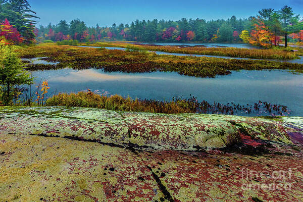 Adirondacks Art Print featuring the photograph Autumn Rain 2 by Roger Monahan