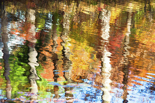 Autumn Art Print featuring the photograph Autumn Reflections-2 by Diane Macdonald