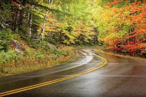 Maine Art Print featuring the photograph Autumn Road by Colin Chase
