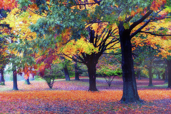 Autumn Art Print featuring the photograph Autumn Symphony by Jessica Jenney