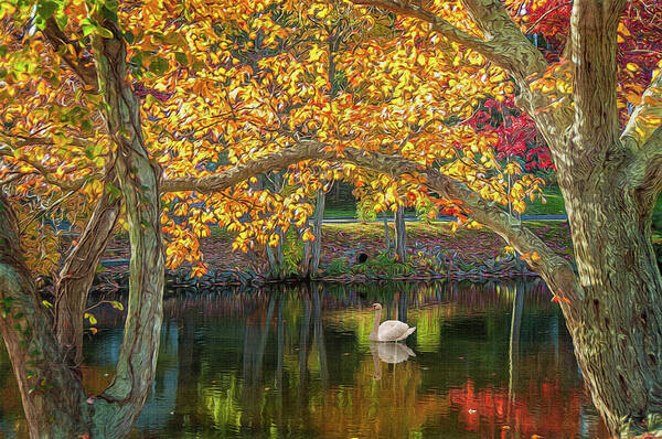 Autumn Art Print featuring the photograph Autumn Serenity by Cathy Kovarik