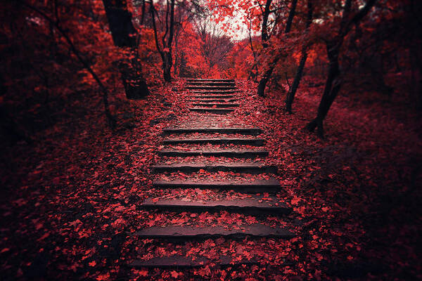 #faatoppicks Art Print featuring the photograph Autumn Stairs by Zoltan Toth