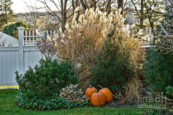 Pumpkins Art Print featuring the photograph Autumn Still Life by Edward Sobuta