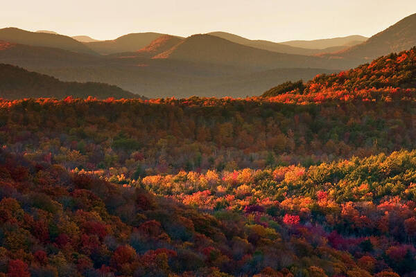 Adirondacks Art Print featuring the photograph Autumn Tapestry by Neil Shapiro