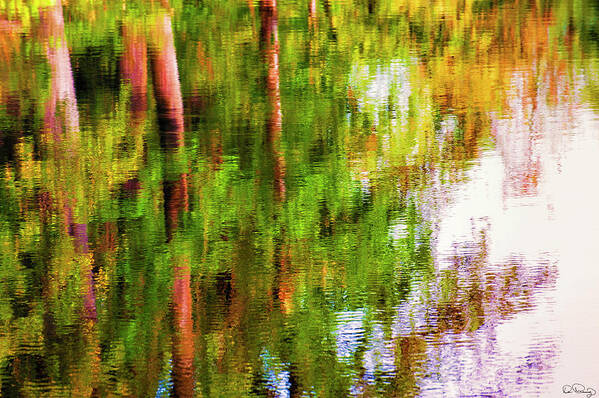 Autumn Art Print featuring the photograph Autumn trees reflect in a creek by Dee Browning
