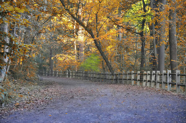 Autumn Art Print featuring the photograph Autumn Walk near Valley Green by Bill Cannon