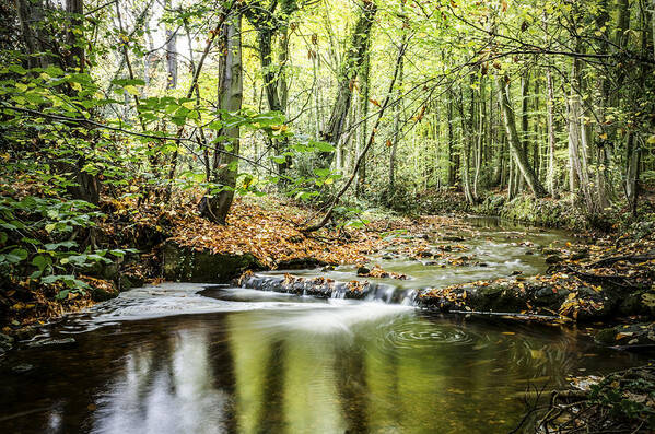 Season Art Print featuring the photograph Autumn Water way at Offas Dyke by Spikey Mouse Photography