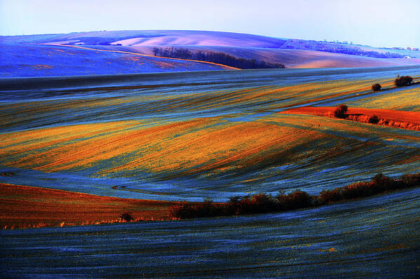 Jenny Rainbow Fine Art Photography Art Print featuring the photograph Autumn Winter. Moravian Tuscany by Jenny Rainbow