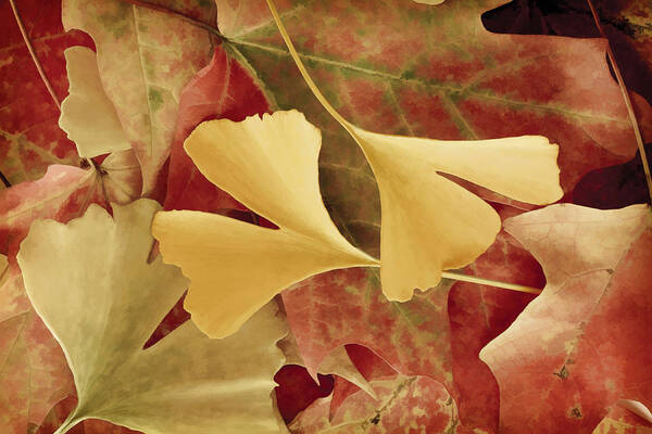 Autumn Art Print featuring the photograph Autumn Yellow by Joye Ardyn Durham