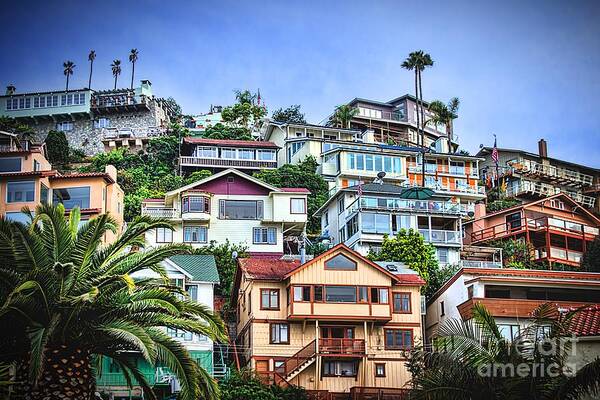  Sunny Art Print featuring the photograph Avalon Hillside with Harbor View by Norma Warden
