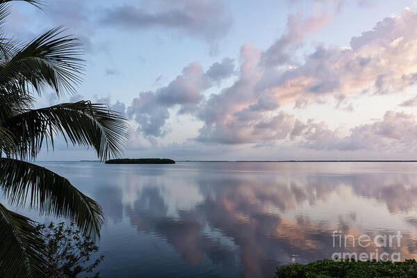 Sunrise Art Print featuring the photograph Awakening At Sunrise by Louise Lindsay