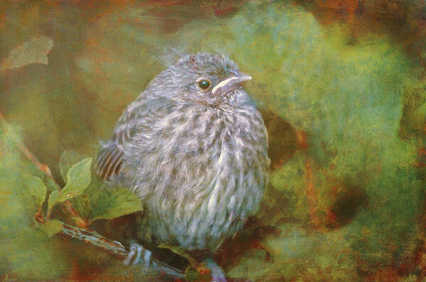 Branch Art Print featuring the photograph Baby Sparrow - Digital Painting by Maria Angelica Maira