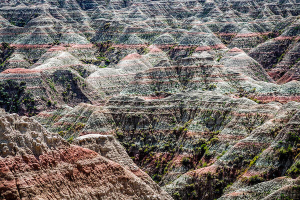 Badlands Art Print featuring the photograph Badlands by Susie Weaver