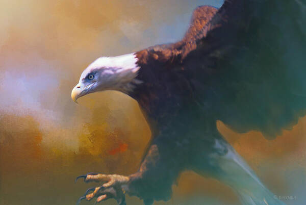 Eagle Art Print featuring the photograph Bald Eagle Landing by Barbara Hymer