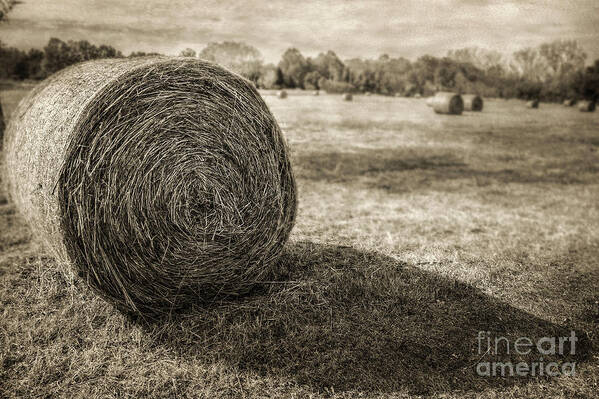 Bales Art Print featuring the photograph Bales by John Anderson