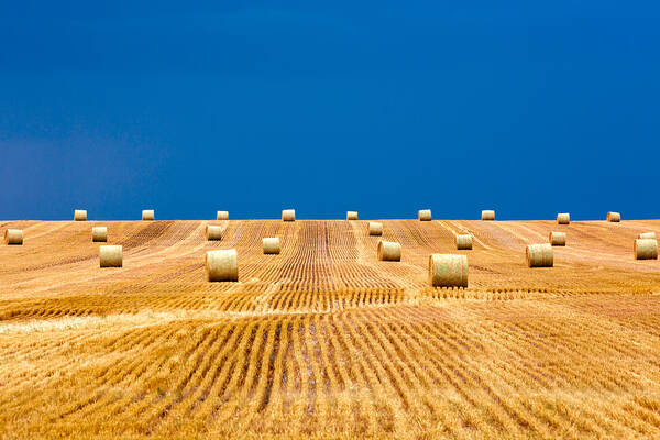 Field Art Print featuring the photograph Bales on the Storm by Todd Klassy