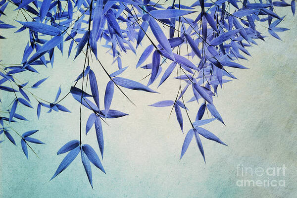 Bamboo Art Print featuring the photograph Bamboo Susurration by Priska Wettstein