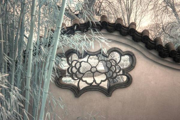 Bamboo Art Print featuring the photograph Bamboo wall Chinese garden infrared zen by Jane Linders