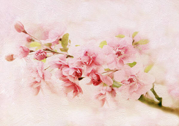 Crabapple Tree Art Print featuring the photograph Barely Blush by Jessica Jenney
