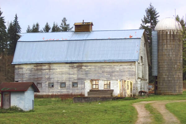 Barn Art Print featuring the photograph Barn Again 27 by Cathy Anderson