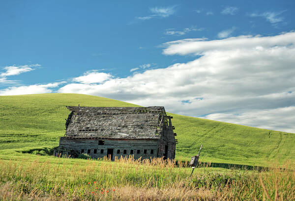 Outdoors Art Print featuring the photograph Barn and Birdhouse by Doug Davidson