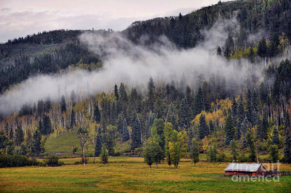 Barn Art Print featuring the photograph Barn in the Mist by Randy Rogers