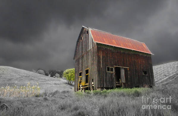 Old Barn Art Print featuring the photograph Barn Life by TK Goforth