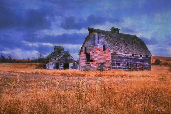 Barn Art Print featuring the photograph Barns Brothers by Anna Louise