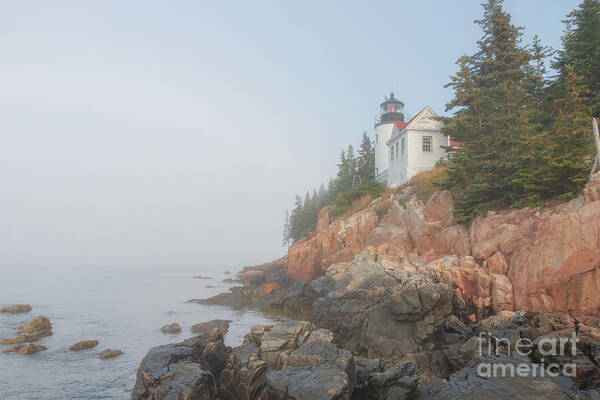 #elizabethdow Art Print featuring the photograph Bass Harbor Sunrise A by Elizabeth Dow