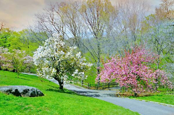 Nybg Art Print featuring the photograph Be True to Yourself by Diana Angstadt