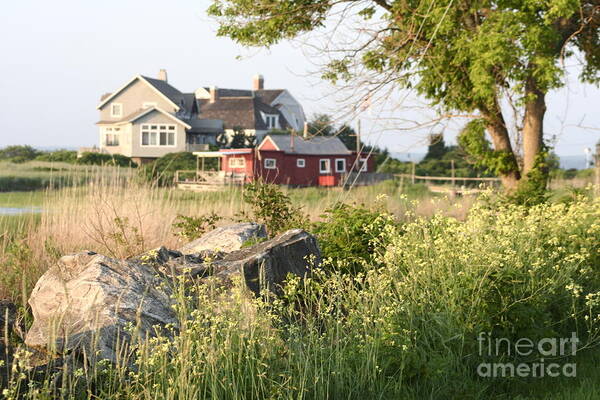 Old Saybrook Art Print featuring the photograph Beach Cottages by B Rossitto