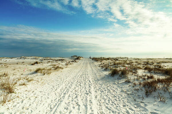 Gulf Of Mexico Art Print featuring the photograph Beach Harmony by Raul Rodriguez