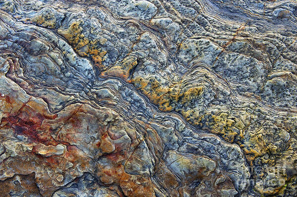 Rock Art Print featuring the photograph Beach Rock Pattern by Tim Gainey