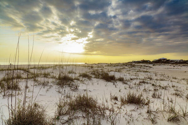 Gulf Of Mexico Art Print featuring the photograph Beach Tranquility by Raul Rodriguez