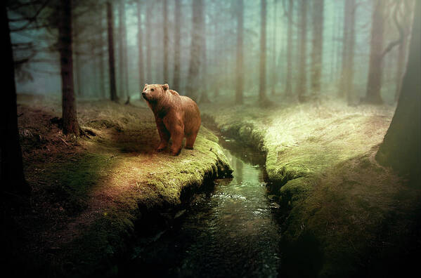 Bear Art Print featuring the photograph Bear Mountain Fantasy by David Dehner